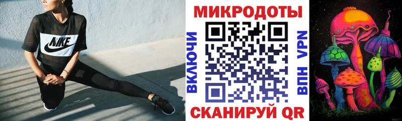 блэк спрут онион  Аркадак  Псилоцибиновые грибы мицелий 